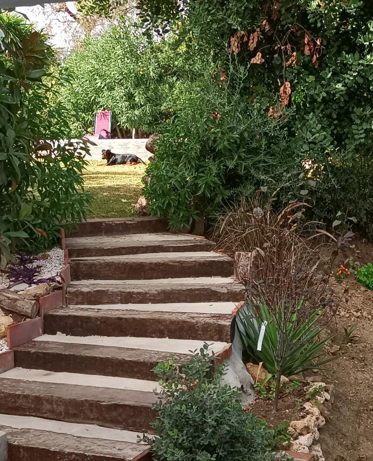 הוילה מאלגה Tottam Art & Healthy Garden מראה חיצוני תמונה
