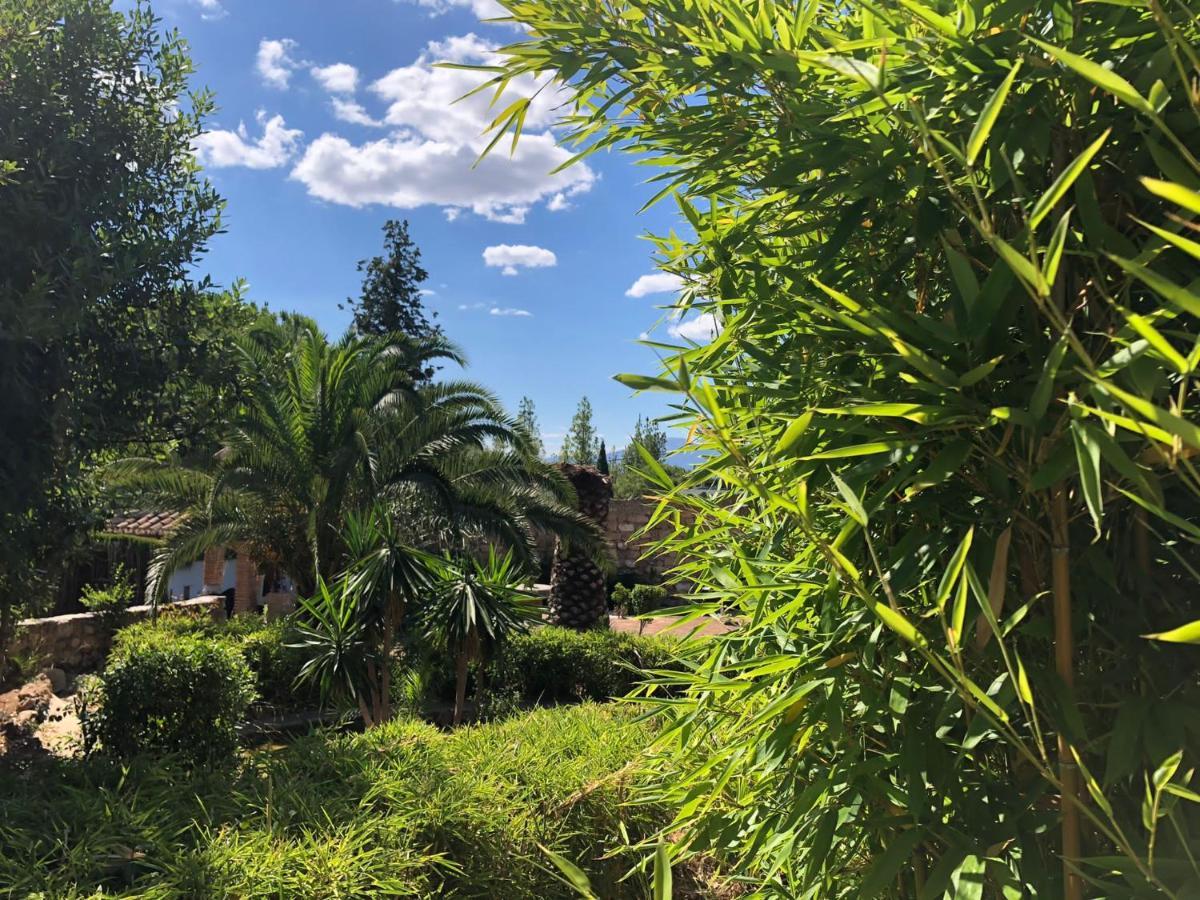 הוילה מאלגה Tottam Art & Healthy Garden מראה חיצוני תמונה