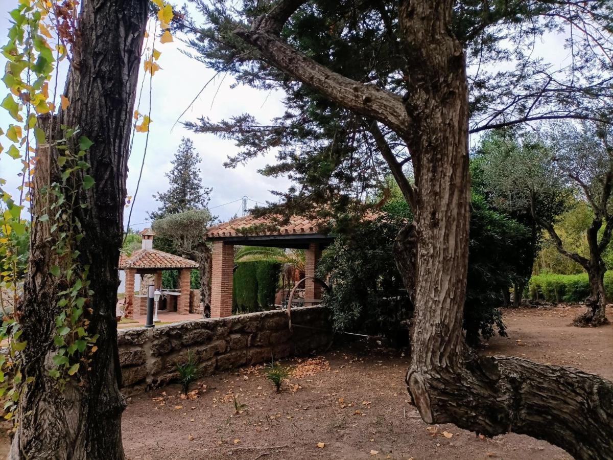 הוילה מאלגה Tottam Art & Healthy Garden מראה חיצוני תמונה