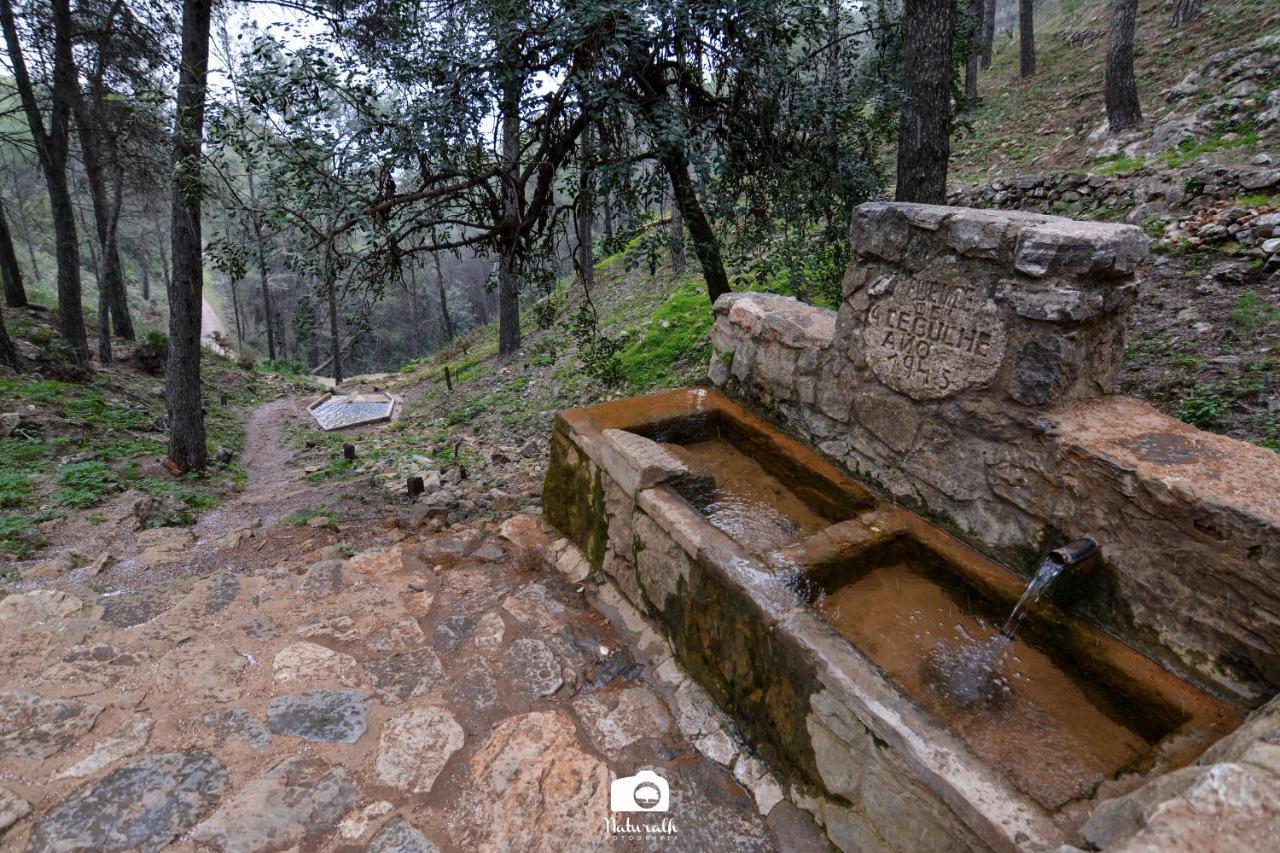 הוילה מאלגה Tottam Art & Healthy Garden מראה חיצוני תמונה